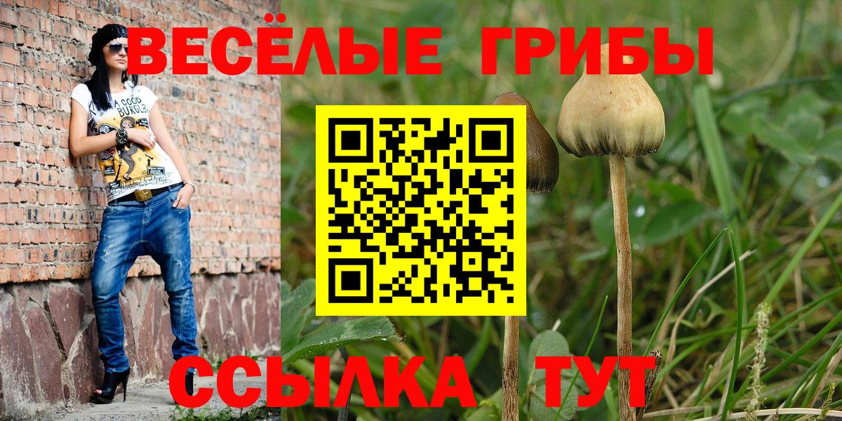 Якутск  Галлюциногенные грибы Magic Shrooms  Вход с VPN 